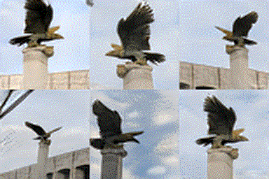 Yonsei's eagle generated by a GAN